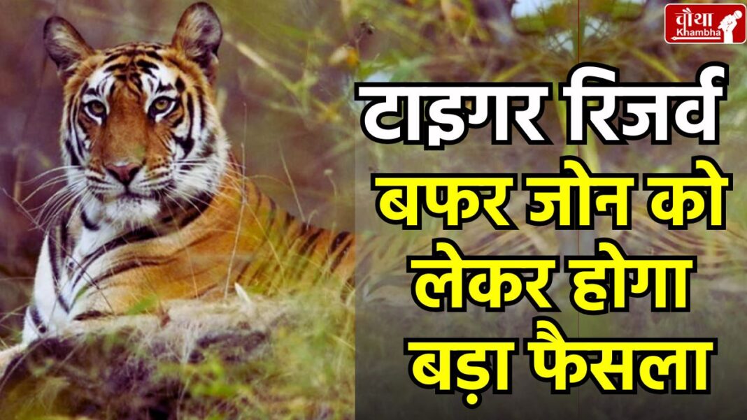 Mohan Yadav Cabinet Meet, MP CM Dr Mohan Yadav, Cabinet meeting in Madhya Pradesh, Tiger Reserve
