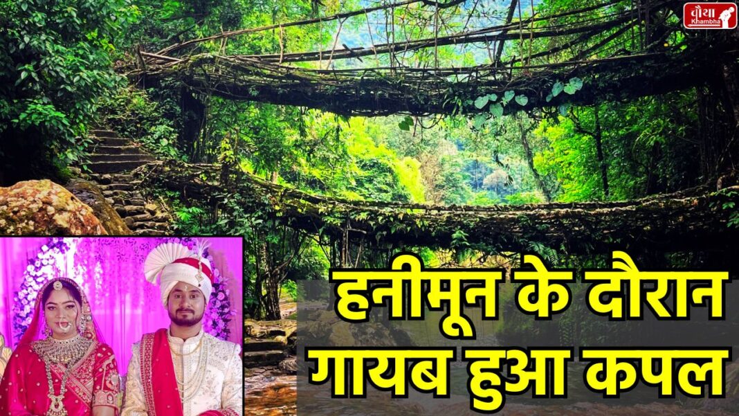Honeymoon missing couple, Indore couple missing, Meghalaya missing tourists, Shillong missing couple, Raja Raghuvanshi, Sonam, Double decker root bridge