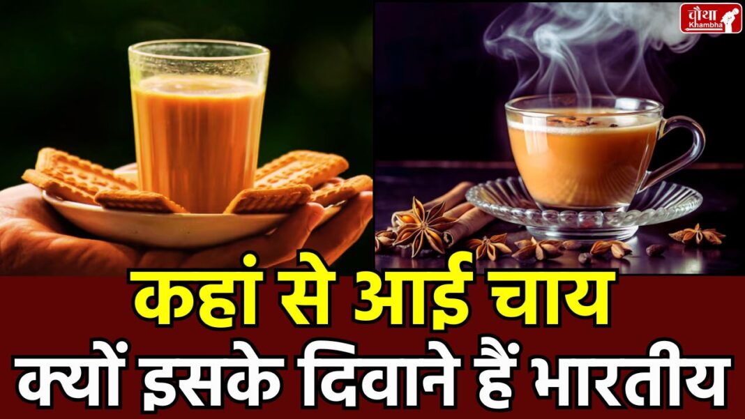 Tea in India, History of Tea, Story of Tea, International Tea Day, Types of Tea, How Tea was Discovered,
