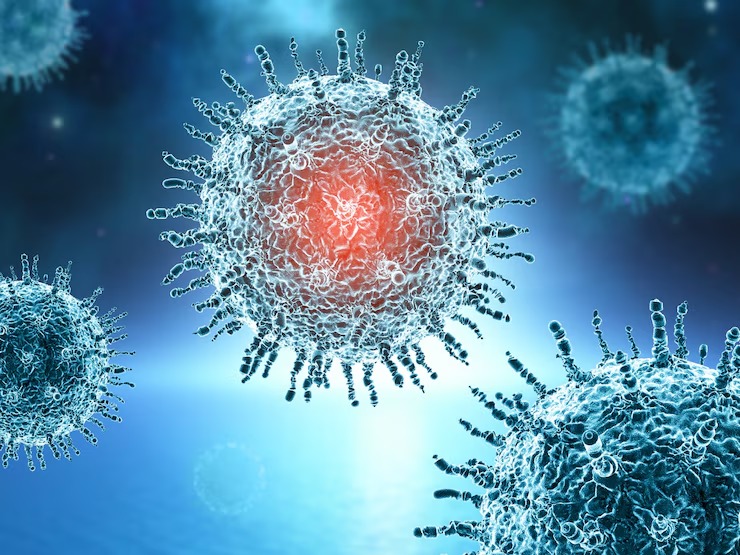 Corona increasing in India, Corona update, COVID cases in India, Corona new variants, Rajasthan COVID cases, Kerala corona deaths, Maharashtra COVID cases, Madhya Pradesh COVID cases