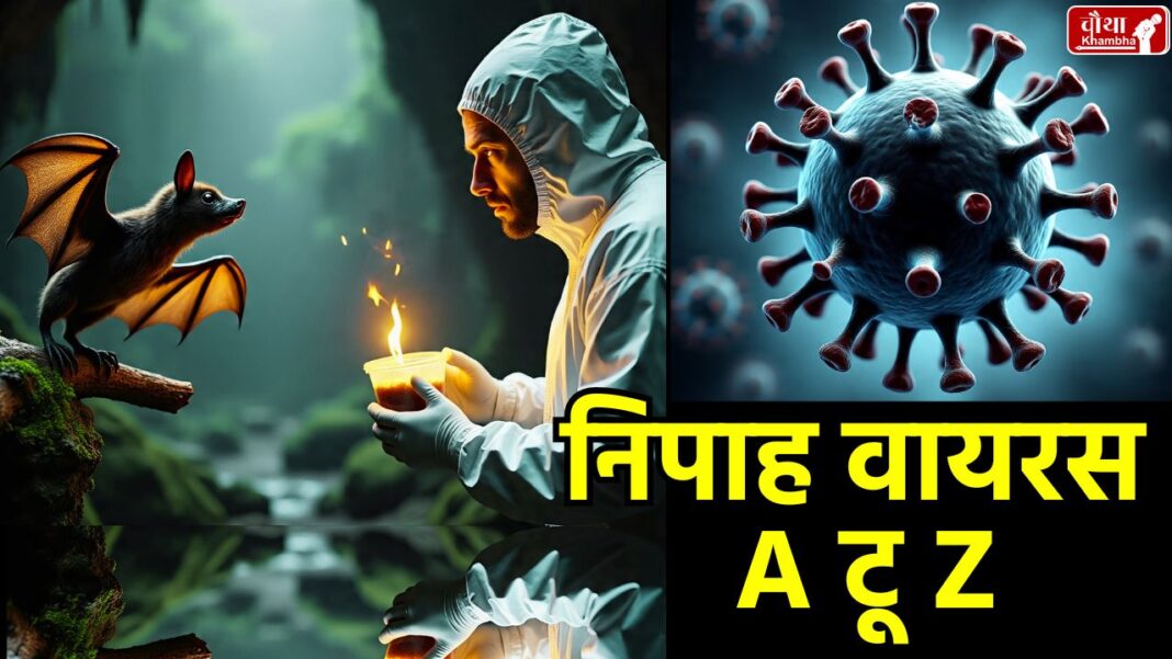 Nipah Virus, What is Nipah Virus, History of Nipah Virus, Symptoms of Nipah Virus, How Nipah Virus spreads, Nipah Virus in Kerala, Treatment of Nipah Virus, Death due to Nipah Virus,