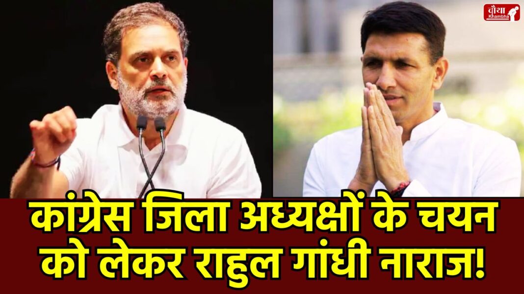 Congress District President, Madhya Pradesh Congress, Rahul Gandhi, Jitu Patwari, Organization Creation Campaign, Congress District President, MP Congress News, Rahul Gandhi, Jitu Patwari, Congress News in Hindi, BJP Congress, Political News